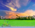 Silhouette of green paddy rice field with the bicycle, the beautiful sky, and cloud in the evening in Thailand Royalty Free Stock Photo