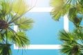 Silhouette of green tropical palm tree leaves with clear blue sky on backgroung at sunset or sunrise time. White frame for text. Royalty Free Stock Photo