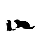 Silhouette Groundhog and young little groundhog