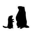 Silhouette Groundhog and young little groundhog