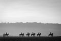 Silhouette of a group of horse riders at Bromo