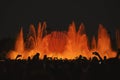 Silhouette of a group of people standing in front of the beautiful fountains and taking pictures