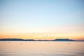 silhouette of gulls roosting as the sunset colors the horizon