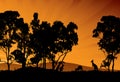 silhouette and rays with kangaroos and mountains