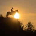 Silhouette of a guy sitting astride a horse over the edge of a cliff in the rays of the sun. Royalty Free Stock Photo