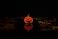 Silhouette Halloween pumpkin on a black background