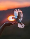 The silhouette of a hand and a dove are set against a twilight sky, the bird in mid-flight. The image captures a moment