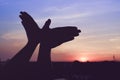 Silhouette of a hand gesture like bird flying Royalty Free Stock Photo