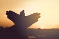 silhouette of a hand gesture like bird Royalty Free Stock Photo