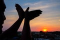 Silhouette of a hand gesture like bird flying Royalty Free Stock Photo