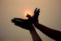 Silhouette of a hand gesture like bird flying on vintage sky Royalty Free Stock Photo