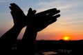 silhouette of a hand gesture like bird Royalty Free Stock Photo