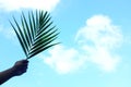 Silhouette of hand holding palm leaf on bright sky blue background with copy space. Palm Sunday celebration.