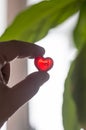 Silhouette hand holding plastic heart with blurred background Royalty Free Stock Photo