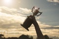 Silhouette hand holding winner trophy cup in a championship Royalty Free Stock Photo