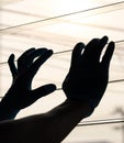 Silhouette Hand Wearing Blue Gloves With Light Louvers