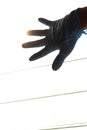 Silhouette Hand Wearing Blue Gloves With Light Louvers
