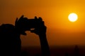 Silhouette of hands holding a mobile phone and making photography of the huge sun during sunset or sunrise Royalty Free Stock Photo