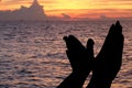 Silhouette of hands like bird on beach dramatic in the evening