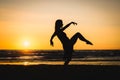 Silhouette of a happy dancer girl at sunset Royalty Free Stock Photo