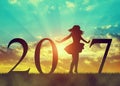 Silhouette of a happy girl dancing in celebration of the New Year 2017 Royalty Free Stock Photo