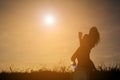 Silhouette happy girl playing guitar at the sky sunset, happy ti Royalty Free Stock Photo