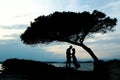 Silhouette of a happy loving couple at sunset on the seashore Royalty Free Stock Photo