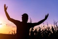 Silhouette of happy successful corn farmer in cornfield in sunset with arms raised Royalty Free Stock Photo