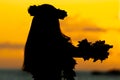 Silhouette of a Hawaiian woman dancing on sunset near the sea.