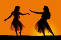 Silhouette of Hawaiian woman grass skirts dancing
