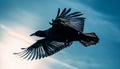 Silhouette of hawk in mid air, spreading wings in freedom generated by AI