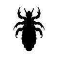 Silhouette of head human louse. Pediculus humanus Royalty Free Stock Photo