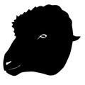 Silhouette of head of sheep