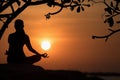 Silhouette healthy woman lifestyle exercising vital meditate and practicing yoga on the rock in beach at sunset.