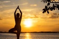 Silhouette healthy woman yoga balance body exercising vital meditate and practicing on the rock outdoor in the beach at sunset Royalty Free Stock Photo