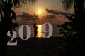 Silhouette of healthy woman standing on the beach and 2019 years with beautiful sky twilight. concept celebrating new year Royalty Free Stock Photo