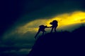 Silhouette of helping hand between two climber Royalty Free Stock Photo