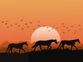 Silhouette of a herd of horses on the hills at sunset has mountains and orange sky as background
