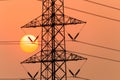 silhouette of high voltage electrical pole structure Royalty Free Stock Photo