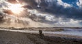 A silhouette of a homeless man with dog walking on the beach with stormy sea and dramatic sunset sky Royalty Free Stock Photo