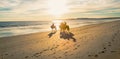 Horse back riders at Limantour Beach with sunset. Royalty Free Stock Photo