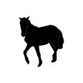 Silhouette of the horse. Black on a transparent background. Vector