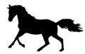 Running horse silhouette ~ Royalty Free Stock Photo