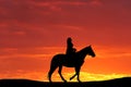 Silhouette of a horse and the girl against the backdrop of a beautiful sunset Royalty Free Stock Photo