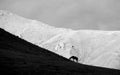 Silhouette of a horse grazing in a high mountain valley in the mountains of Kyrgyzstan Royalty Free Stock Photo