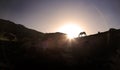 Silhouette of horse grazing on stone cliff at sunset, Northern I