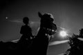 Silhouette of a horse with his amazon.