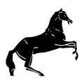 Silhouette of horse on its hind legs Royalty Free Stock Photo