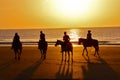 Silhouette Horse Ride On Beach At Dawn