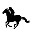 Silhouette of horse rider Royalty Free Stock Photo